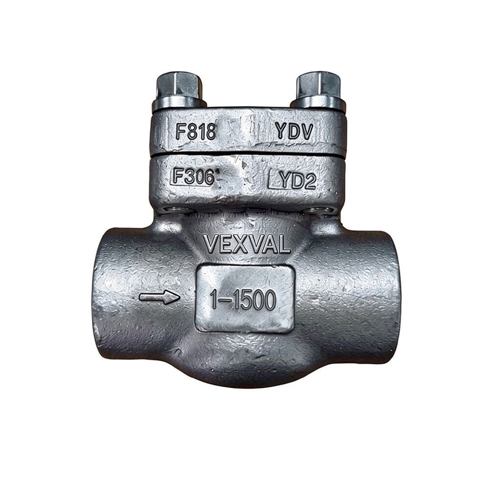 Ball Check Valve 1