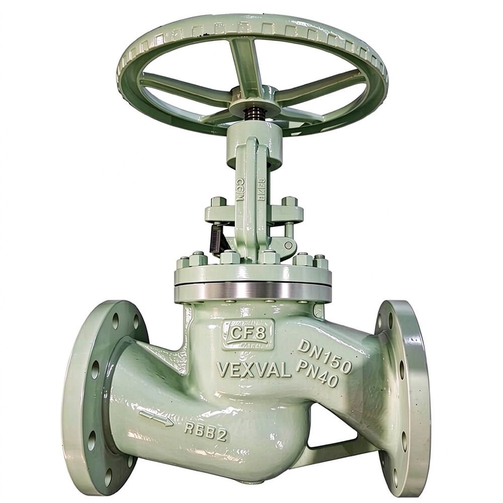 Flanged Globe Valve 1