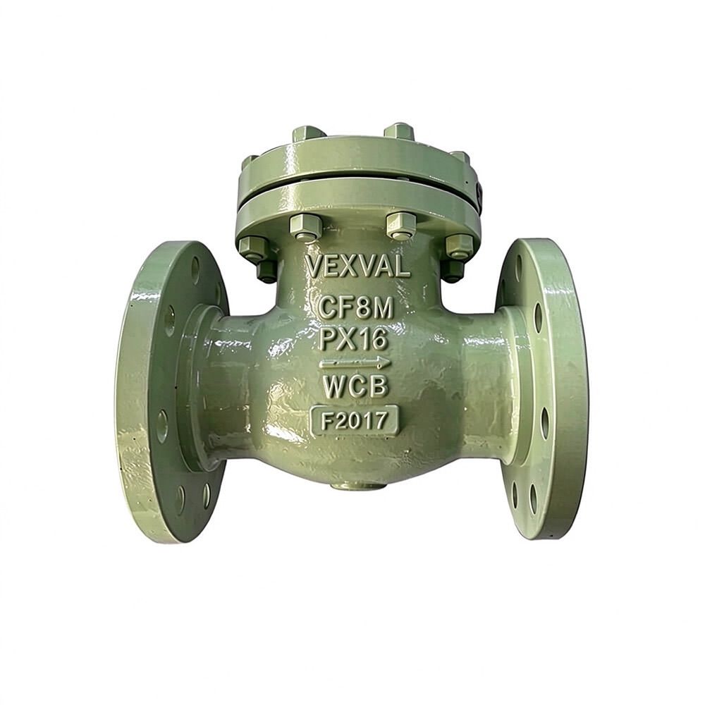 Lift Check Valve 1