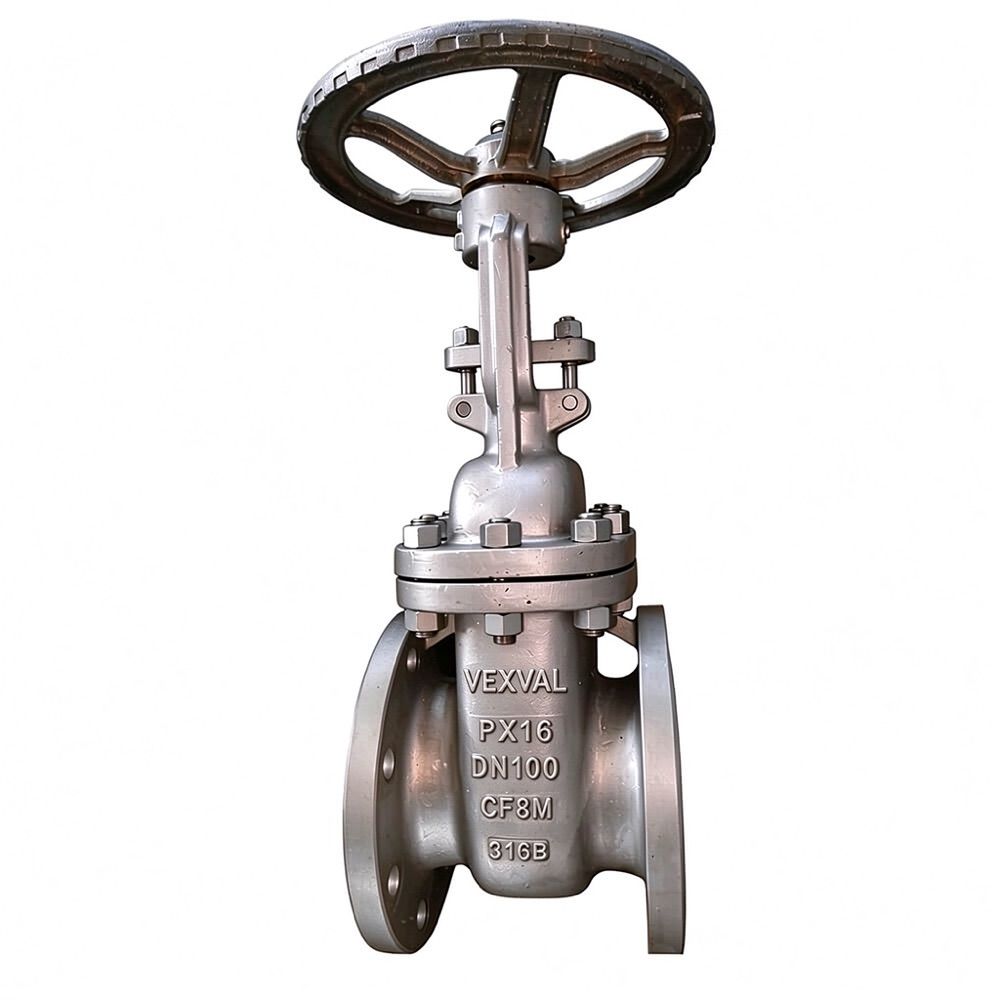 Stainless Steel Gate Valve 1